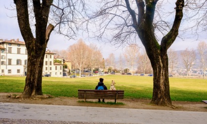 Addio bergamaschi: con questi numeri, fra duecento anni non ci saremo più