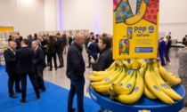 Aperto a Cortenuova il più grande centro europeo di maturazione delle banane Chiquita