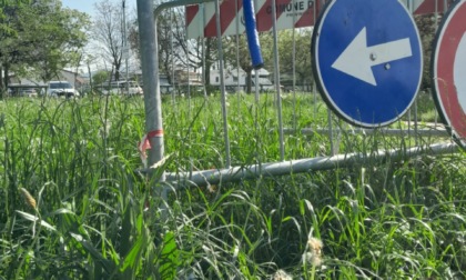 Erba troppo alta nei parchi di Paderno a Seriate: «Quando la tagliano? Siamo già ad aprile»