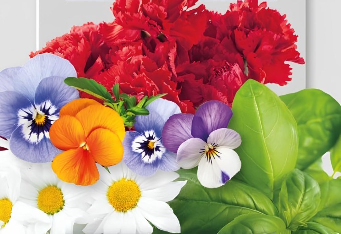Da venerdì 12 aprile, in regalo col PrimaBergamo, bellissimi fiori… da mangiare