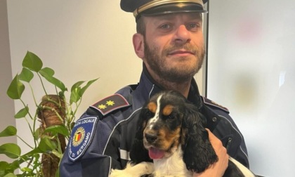 Tante storie dietro l'Ufficio oggetti rinvenuti della polizia locale di Bergamo (che ritrova anche i cani)