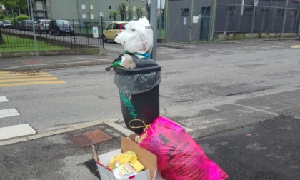 «Cestini pieni e pattumiera ovunque da via Cerioli a via don Minzoni a Seriate, ma il sindaco...»