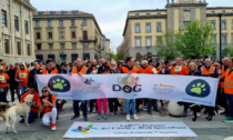 Evviva la Corridog: la carica dei 501 (cani, più i padroni) per le vie del centro