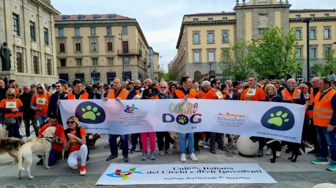 Evviva la Corridog: la carica dei 501 (cani, più i padroni) per le vie del centro