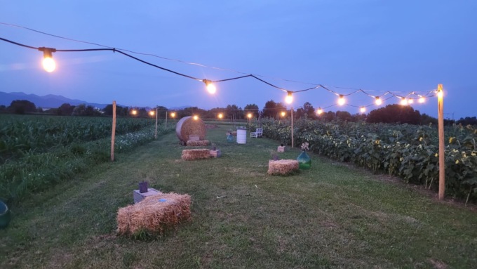 Musica tra i girasoli, Tulipania inaugura l’estate con un concerto d’opera