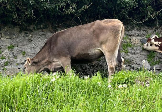 Melaverde Valle Brembana 26 maggio 2024