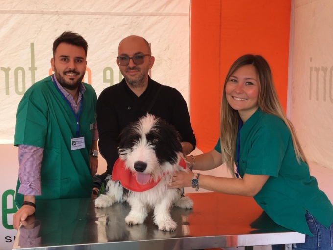 A “Le Due Torri” di Stezzano il microchip e la registrazione dei cani sono… gratis