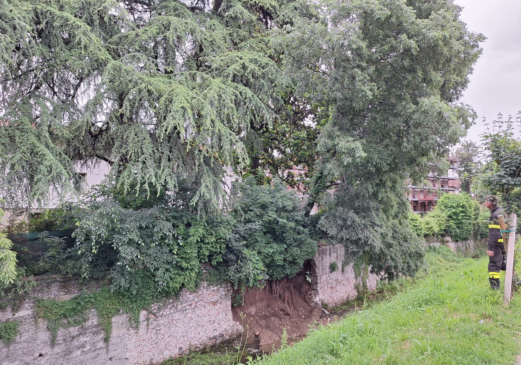 albero inclinato martinengo 1