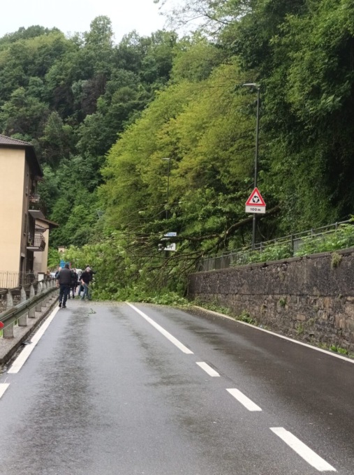 San Giovanni Bianco, albero cade sulla carreggiata: traffico bloccato in Val Brembana