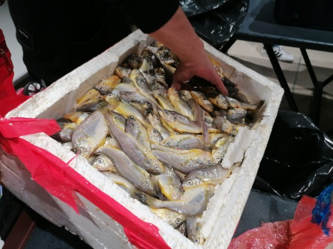 Sequestrati 150 chili di prodotti ittici avariati in un negozio etnico di via Quarenghi