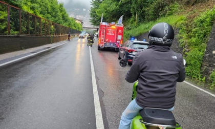 Sedrina, albero cade su un'automobile: traffico bloccato