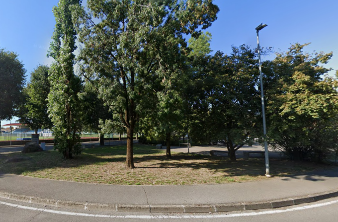 Bambino morso da un husky in un parco di Romano: si cerca il padrone