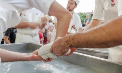 In arrivo la Sagra della Bufala alla Fiera di Treviglio