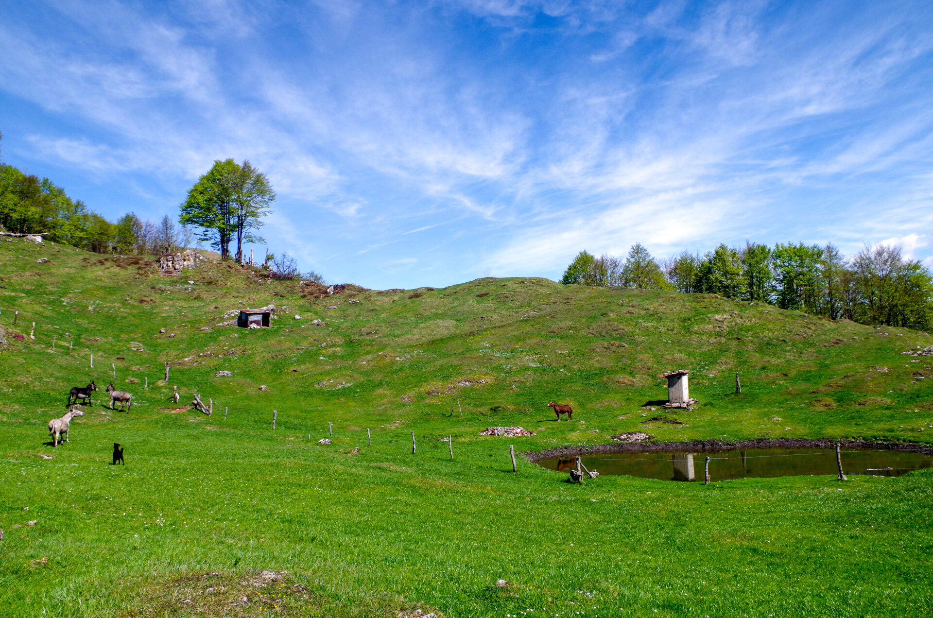 5 - Escursione monte Sornadello