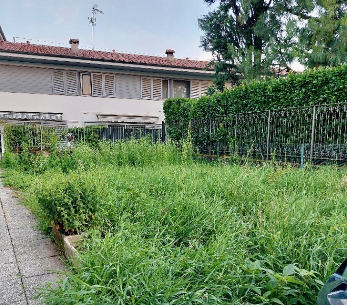 Via della Concordia a Dalmine, i residenti: «Erba alta oltre un metro, piena d’insetti e topi»