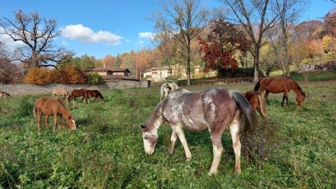 Parte la raccolta firme contro la realizzazione del terzo lotto della Tangenziale sud