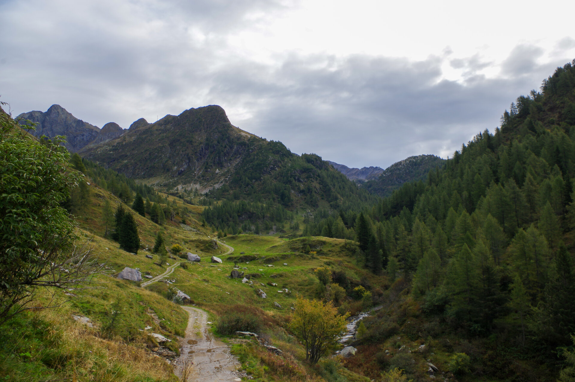 1 - Gita al rifugio Longo