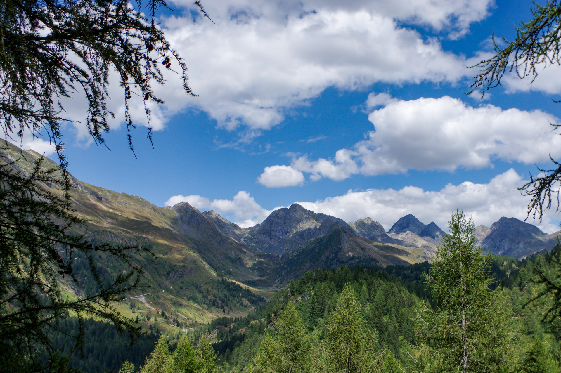 2 - Gita al rifugio Longo