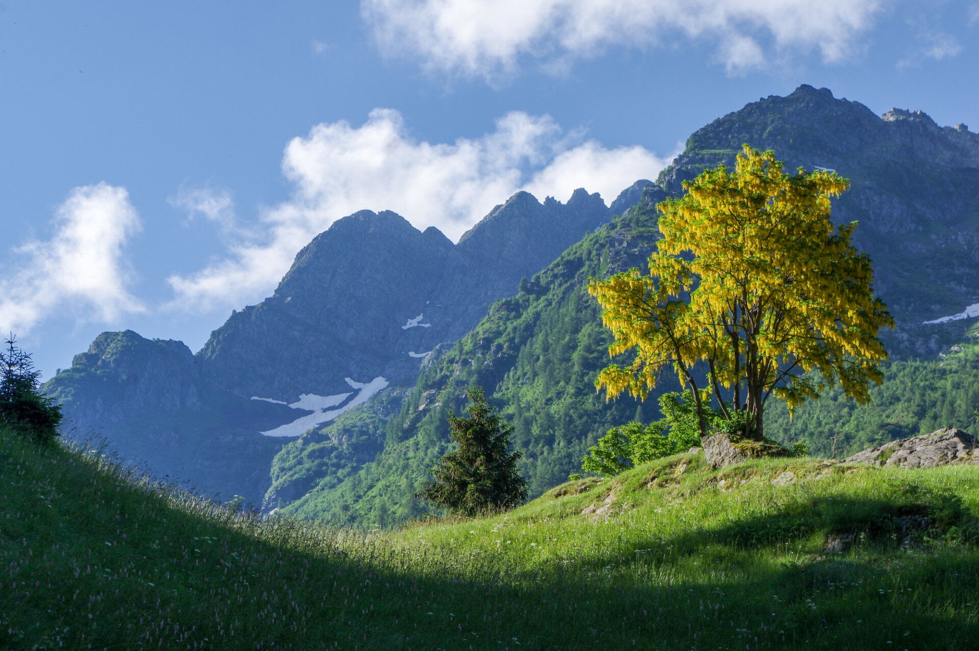 4 - Gita al rifugio Longo