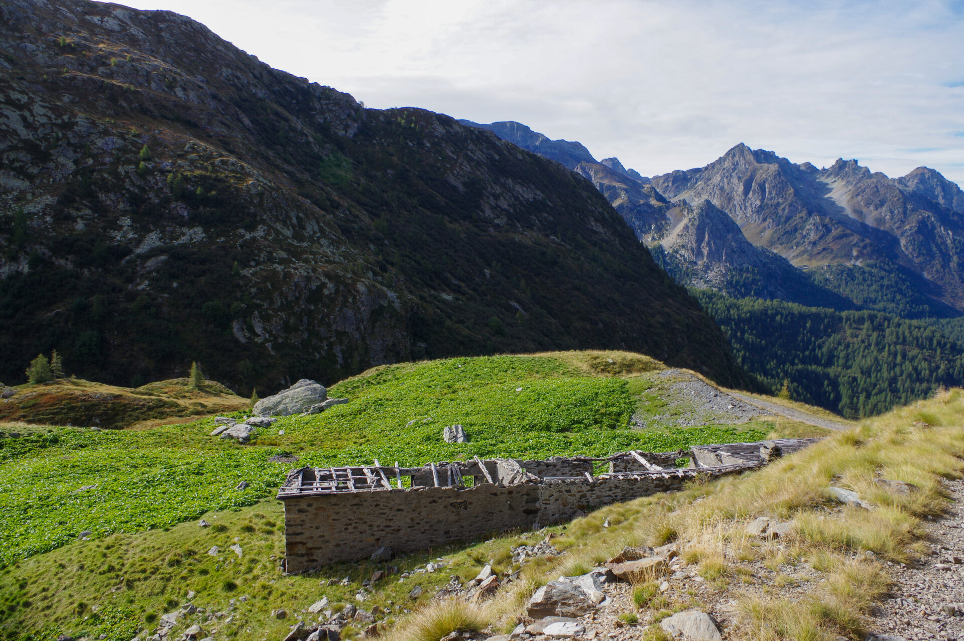 6 - Gita al rifugio Longo