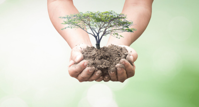 I consigli di Laura Adele Feltri: come il green sta cambiando la nostra economia