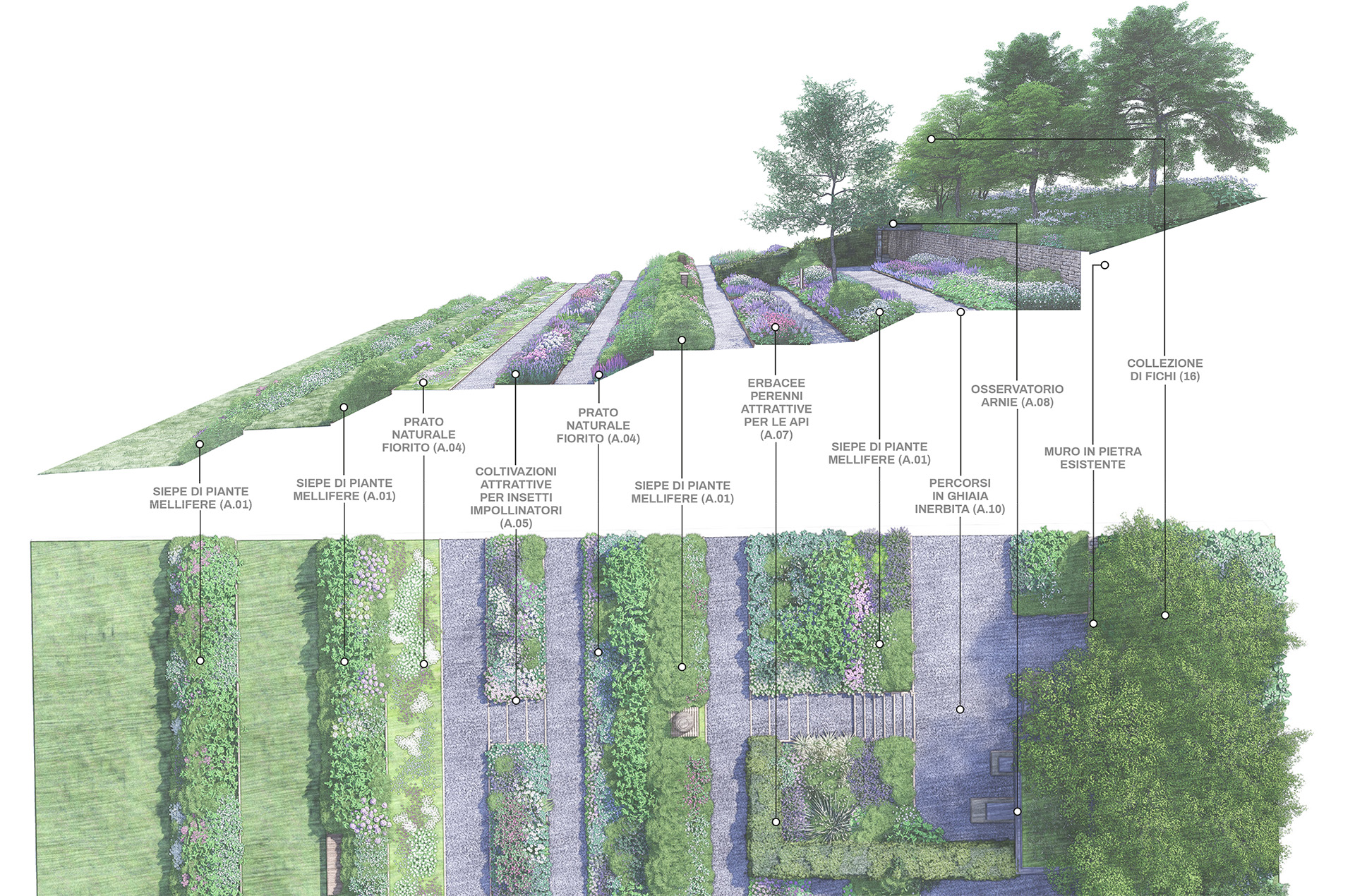 Bioparco Astino_2