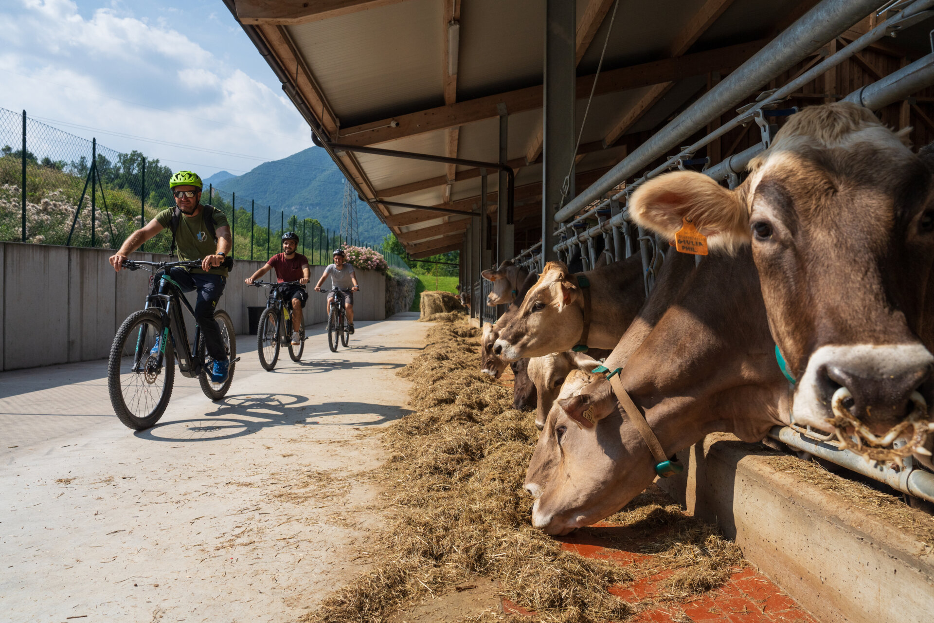 Ciclabile Valle Seriana_Stefano Vedovati (12)