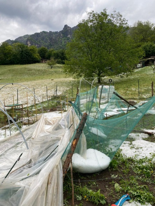Serre abbattute, ortaggi rovinati, colture distrutte: gravi le conseguenze del nubifragio sulle valli