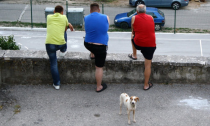 Tutte le gradazioni del “bröt” (brutto) e del “grass” (grasso) in bergamasco: vietato toccarla piano...