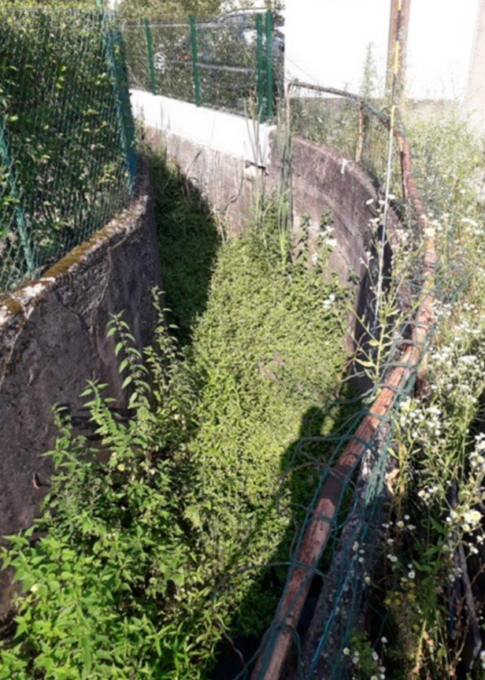 «La manutenzione dei fossi lascia a desiderare», Ribolla riporta l’attenzione sui canali di Astino