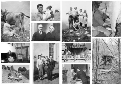 Dal 18 luglio, a Vedeseta (e poi in tutta la Valle Taleggio) arriva la mostra sui bergamini