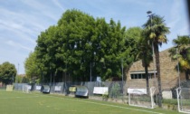 Gran parte degli alberi della scuola Scuri non saranno abbattuti