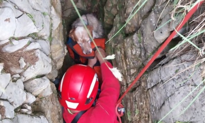 Cloe è stata salvata: la cagnolina era caduta in un crepaccio a Valcava (Torre de' Busi)