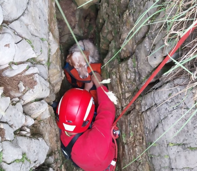 Cloe è stata salvata: la cagnolina era caduta in un crepaccio a Valcava (Torre de’ Busi)