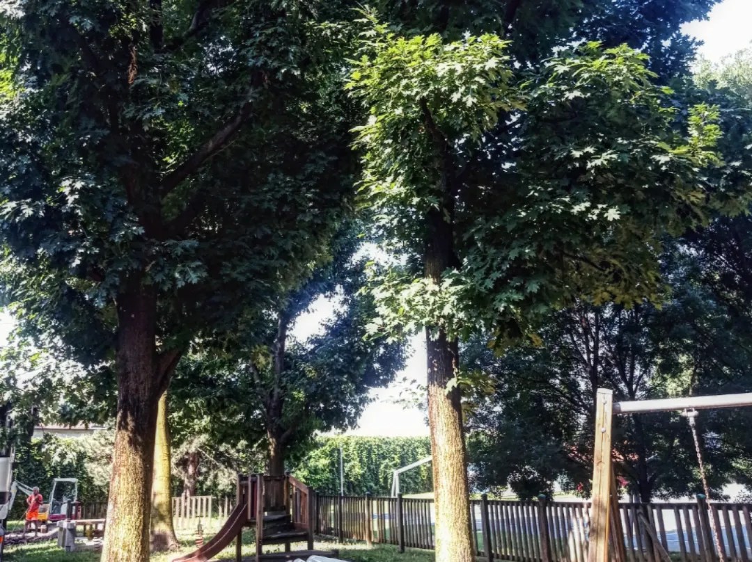 parco ardens prima