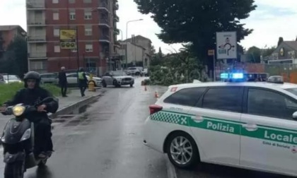 Nubifragio a Seriate: cade un ramo su un'auto e salta l'elettricità. Nessun ferito