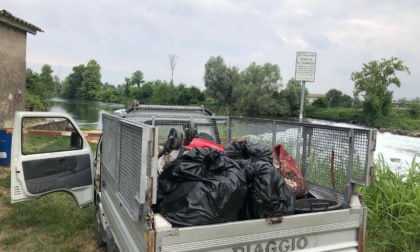 I volontari de "Il Gelso" ripuliscono le rive dell'Oglio a Calcio: riempito un camion