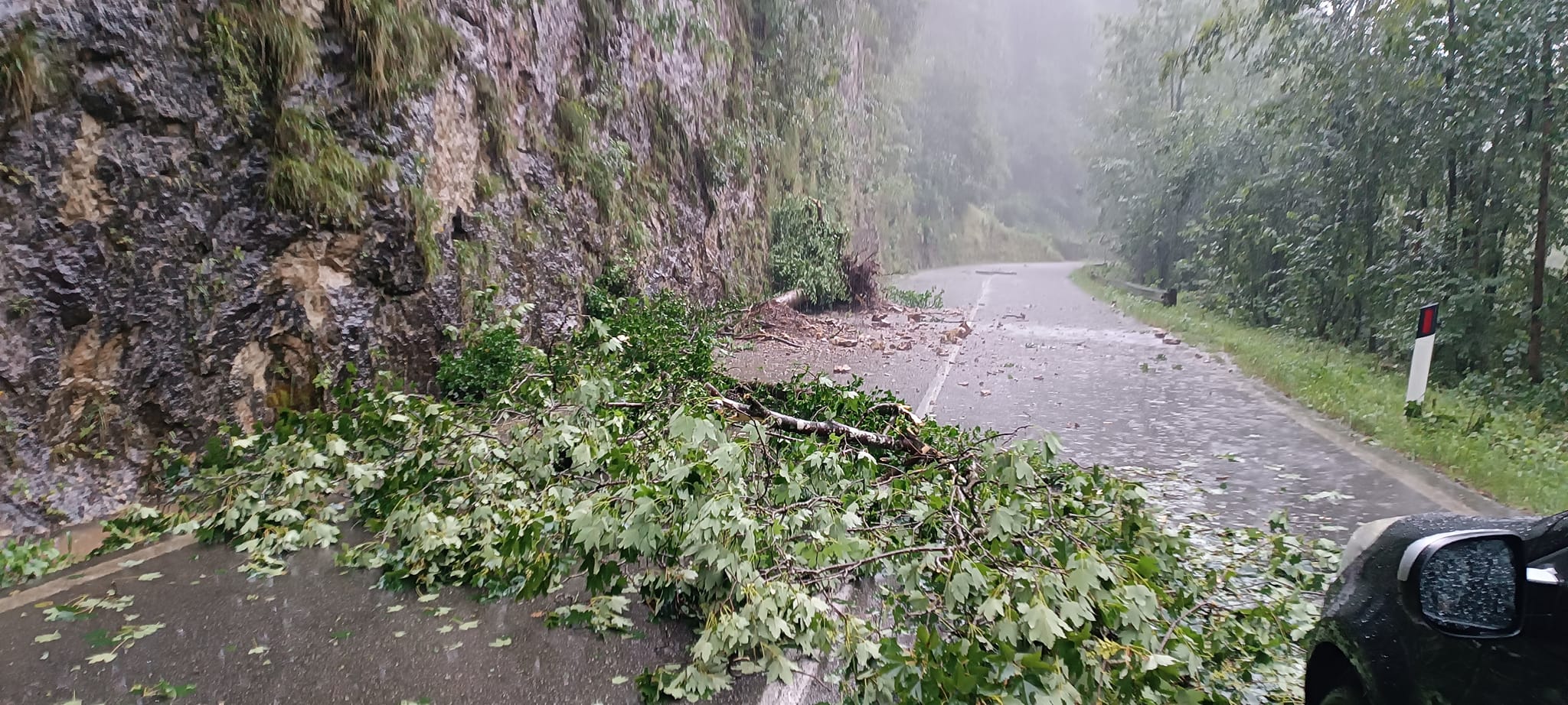 strada tra Olmo al Brembo e Cassiglio - Mariarosa Arizzi