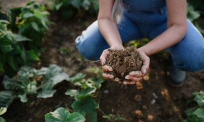 “Ol teré” (il terreno) e tutte le sue sfumature, in bergamasco