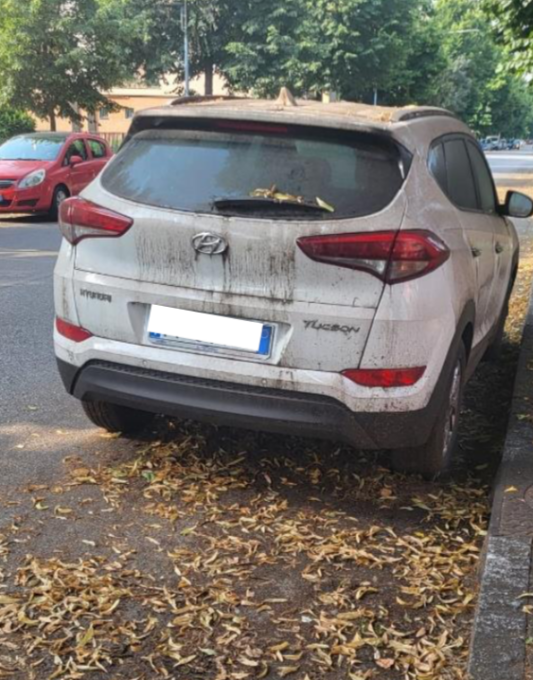 Auto abbandonate nei parcheggi a Bergamo, il Comune ne ha individuate 27 nel 2023