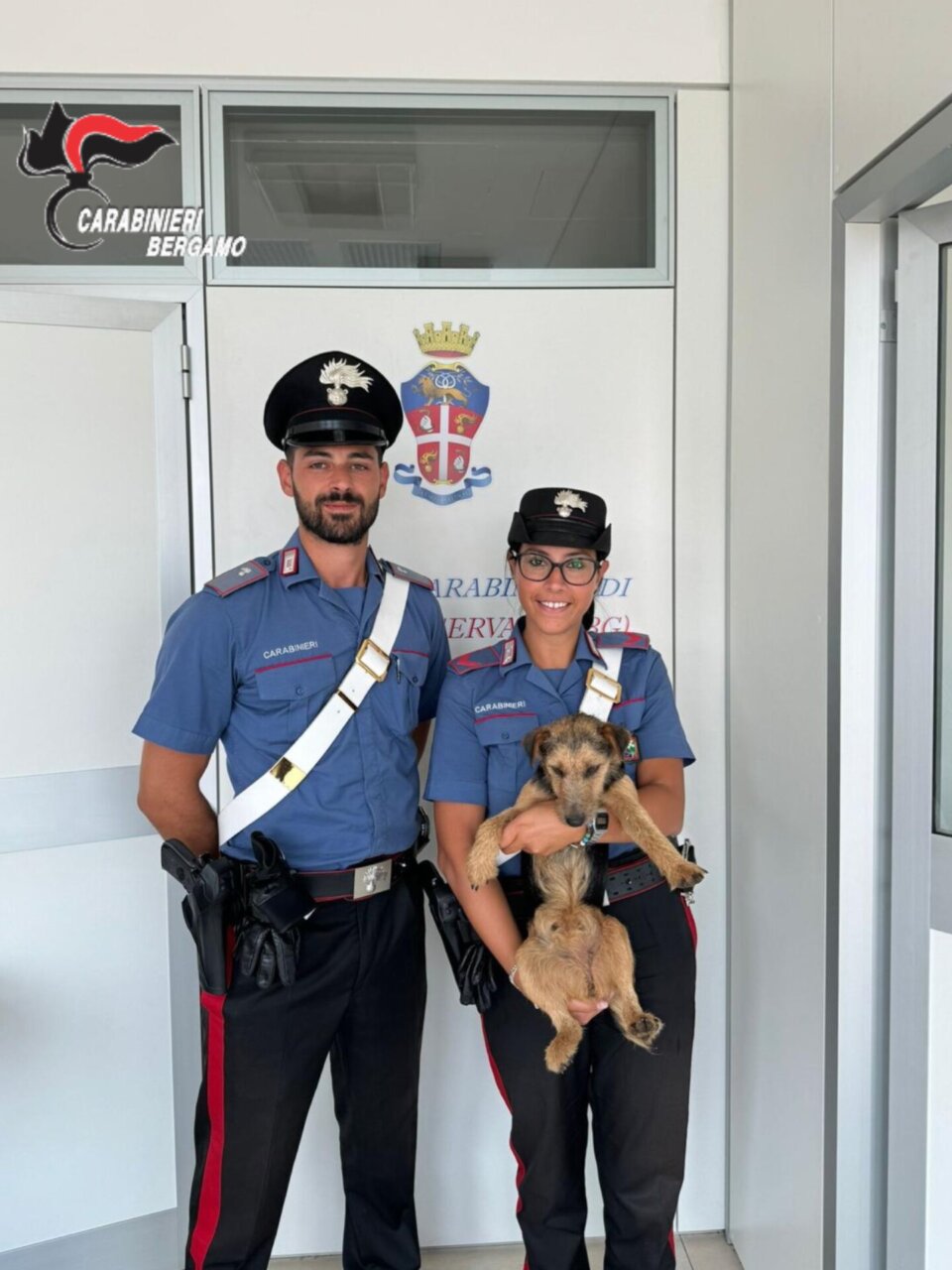 17.08.24 CAPRIATE SAN GERVASIO CARABINIERI SALVANO UN CUCCIOLO CHE STAVA PER ESSERE INVESTITO SULLA PROVINCIALE foto