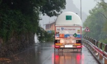 Albero caduto tra Zogno e Ambria invade entrambe le corsie: code in Val Brembana