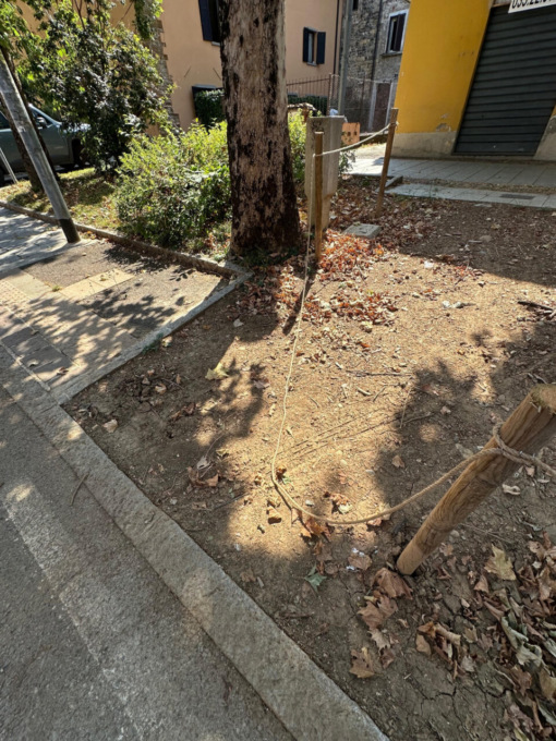 «Degrado e sporcizia a Campagnola, abbiamo paura»: una lettrice si appella alla sindaca