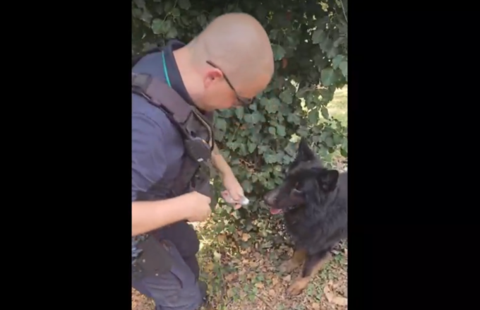 Controlli antidroga nei parchi di Romano: dosi nascoste nei cespugli e tra i sassi