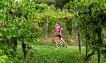 Torna la Moscato di Scanzo Trail, la gara podistica tra le vigne del territorio