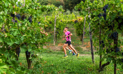 Torna la Moscato di Scanzo Trail, la gara podistica tra le vigne del territorio