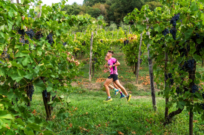 Torna la Moscato di Scanzo Trail, la gara podistica tra le vigne del territorio