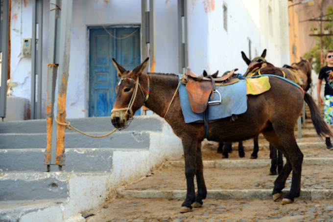 Quando in ferie si andava col “möl”: low cost, ma senza volare