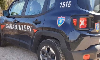 Bergamasca settima in Lombardia per reati ambientali: "solo" 87 (a Brescia ben 501)