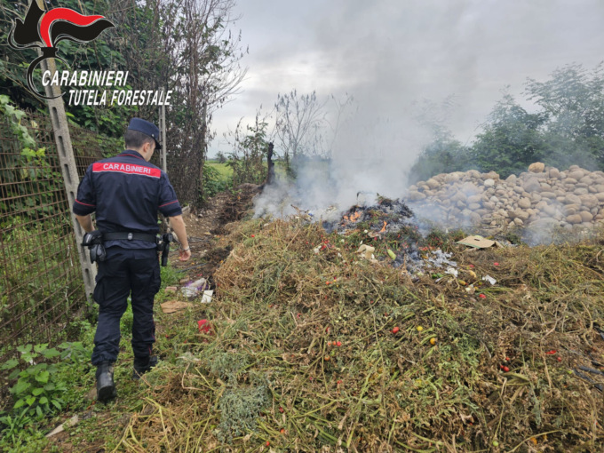 Nel 2024 registrati 48 interventi dei forestali per combustione di scarti vegetali e rifiuti